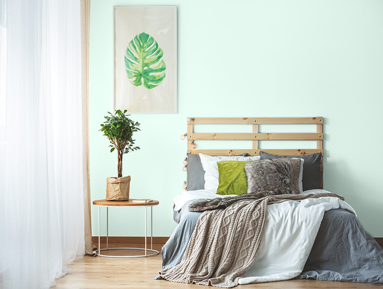 B'BOYA COMFORT TEK KAT LE DUVARLARINIZI YENLEYN